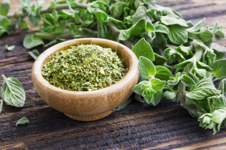 Was Ist Der Unterschied Zwischen Majoran Und Oregano Majoran & Oregano im Vergleich - Plantura