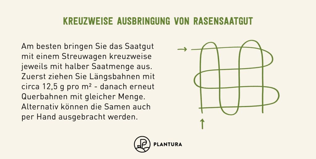 Kreuzweise Ausbringung der Rasensaat als Anleitung mit Text