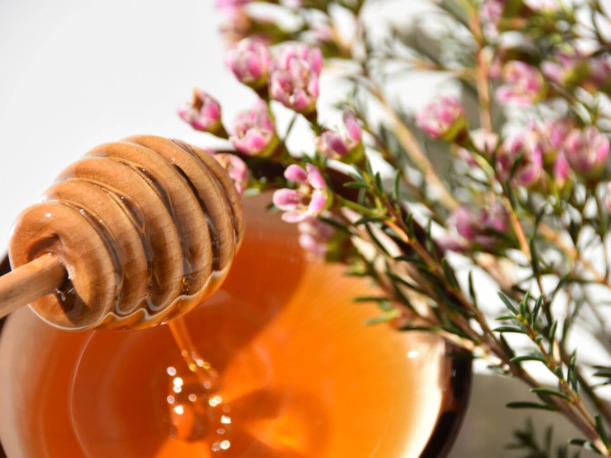Manuka Honig: Teuerster Honig der Welt? - Plantura
