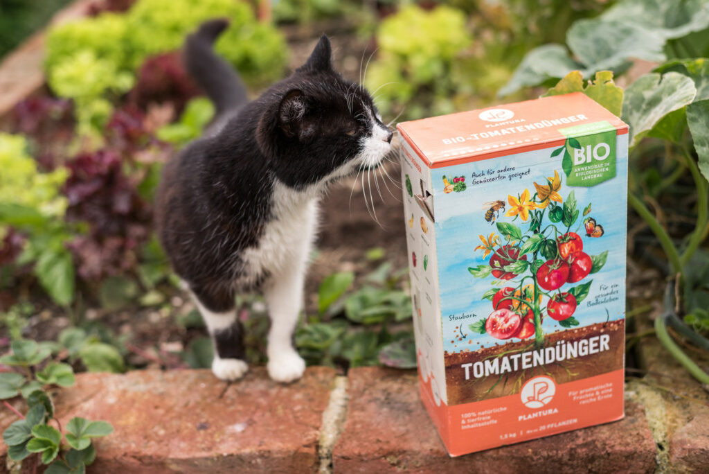 Katze mit Plantura Bio-Tomatendünger