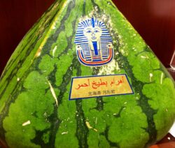 Pyramid Watermellon