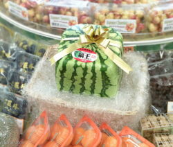 Quadratische Wassermelone Als Geschenk