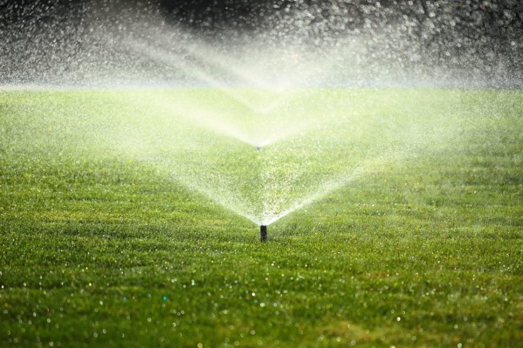 Rasen im Sommer mit Wassersprenkler gewässert