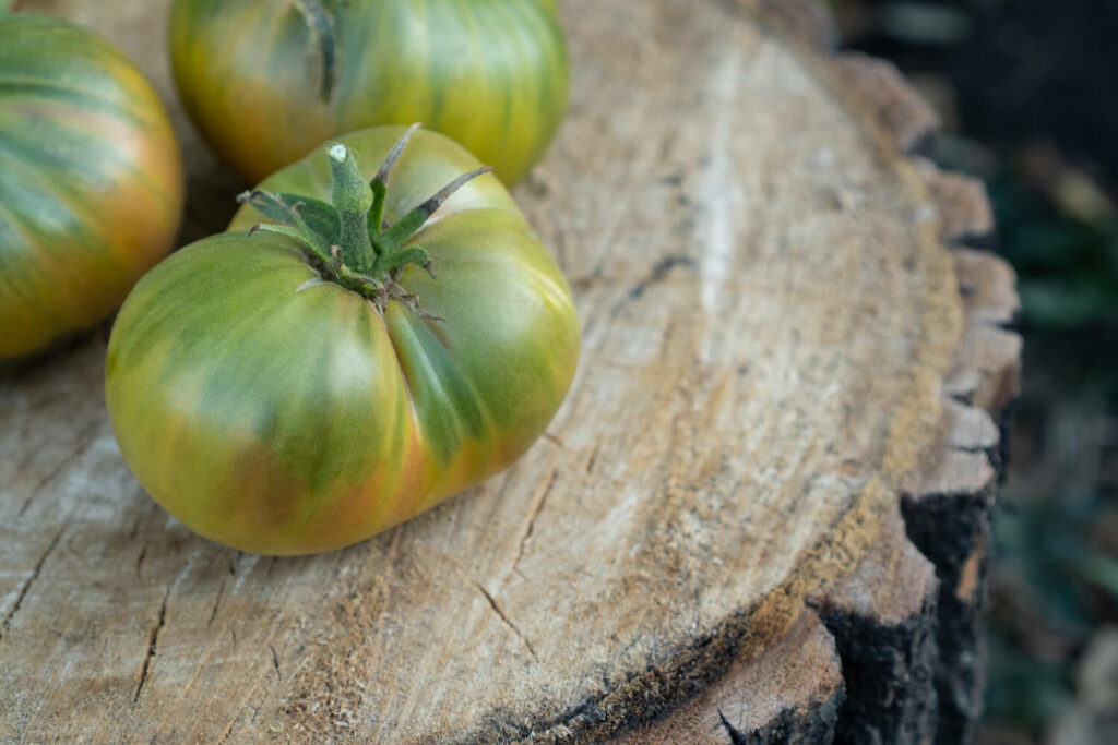 Grüne Tomaten auf Holzstamm