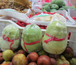 Verpackte Buddha Birne