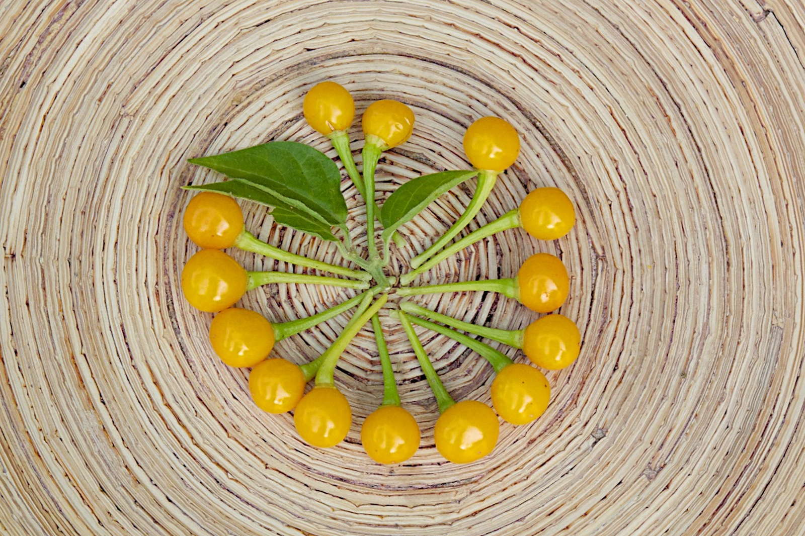 Aji Charapita: Der teuerste Chili der Welt - Plantura