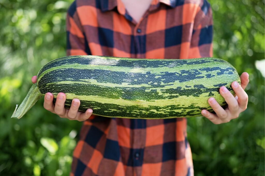 Marrow