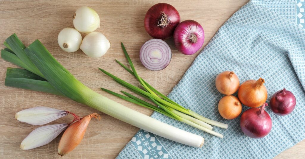 Lauch, Porree, Zwiebeln, Schalotten im Vergleich