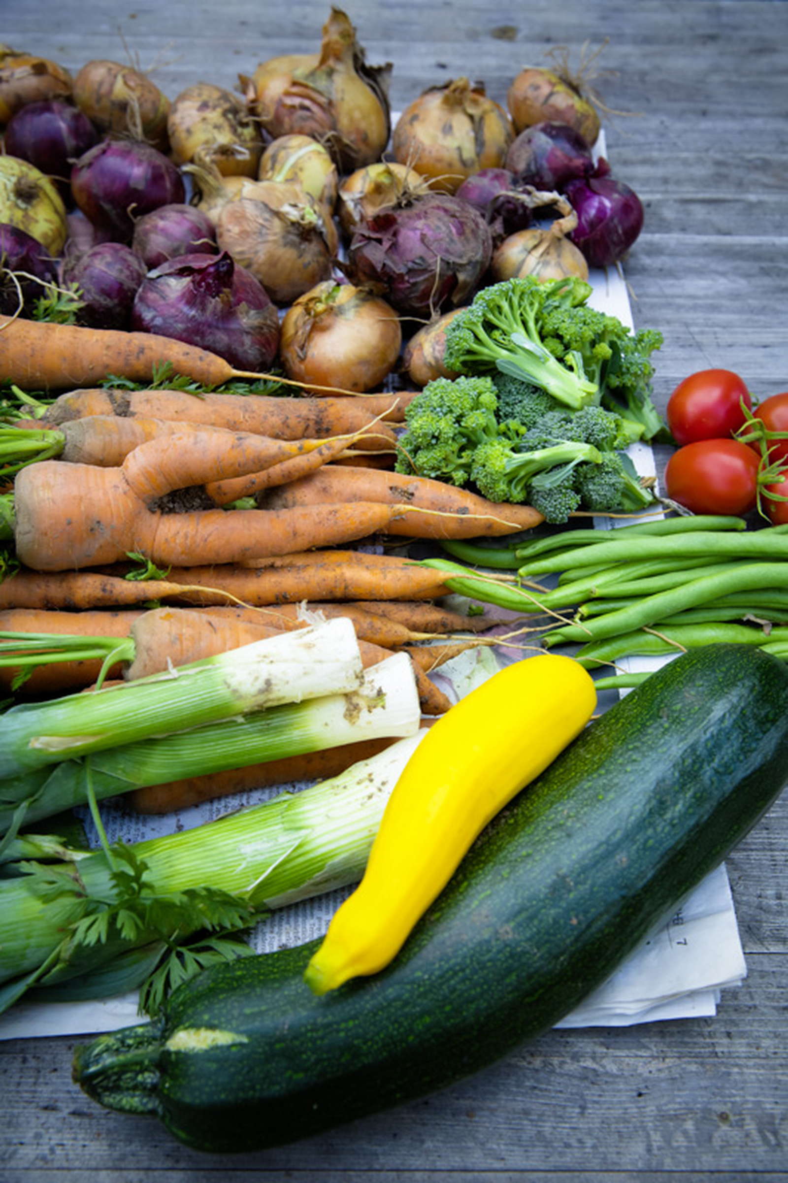 Die Top 10 Der Besten Pflanzen Fur Ein Hochbeet Plantura