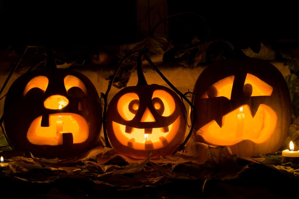 Halloween Kürbisse schnitzen: Ideen und Sorten - Plantura