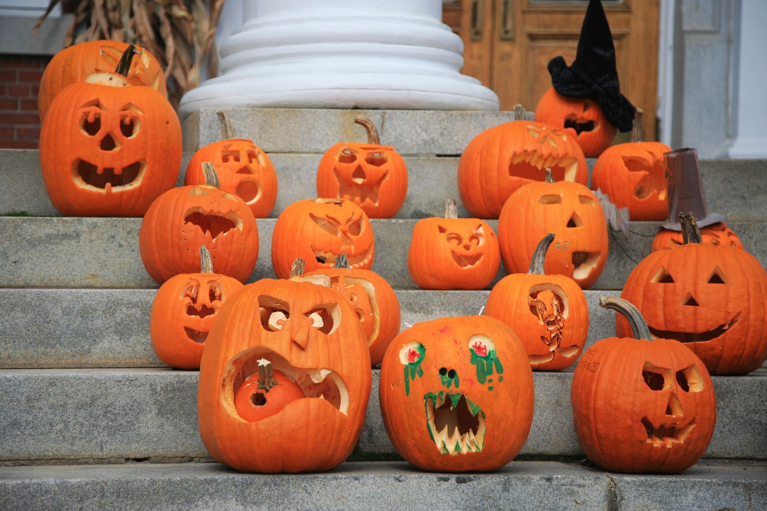 Halloween Kürbis schnitzen Ideen & Anleitung Plantura