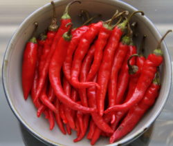 Red Cayenne Pepper
