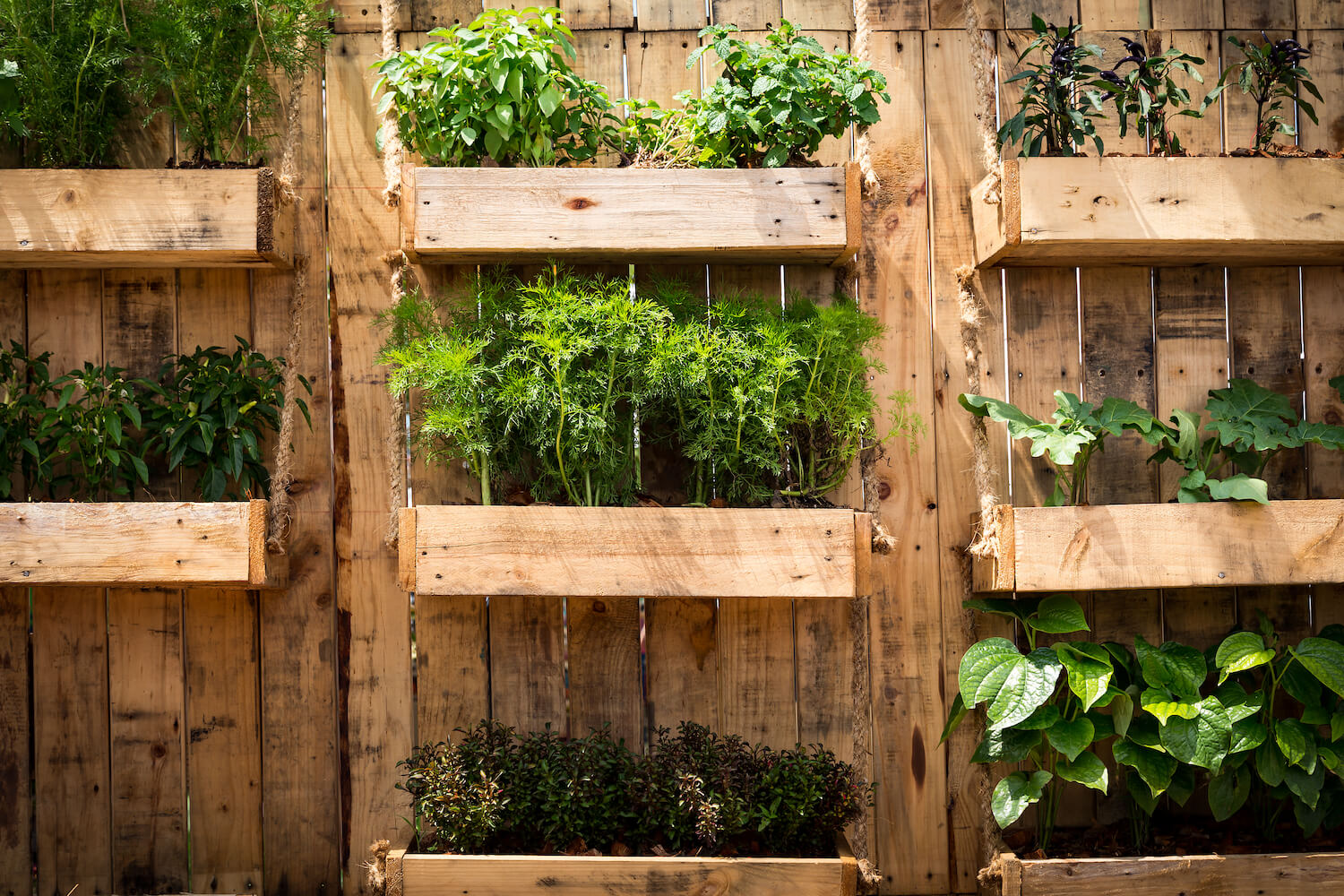 vertikaler-garten-pflanzen-in-luftigen-h-hen-plantura