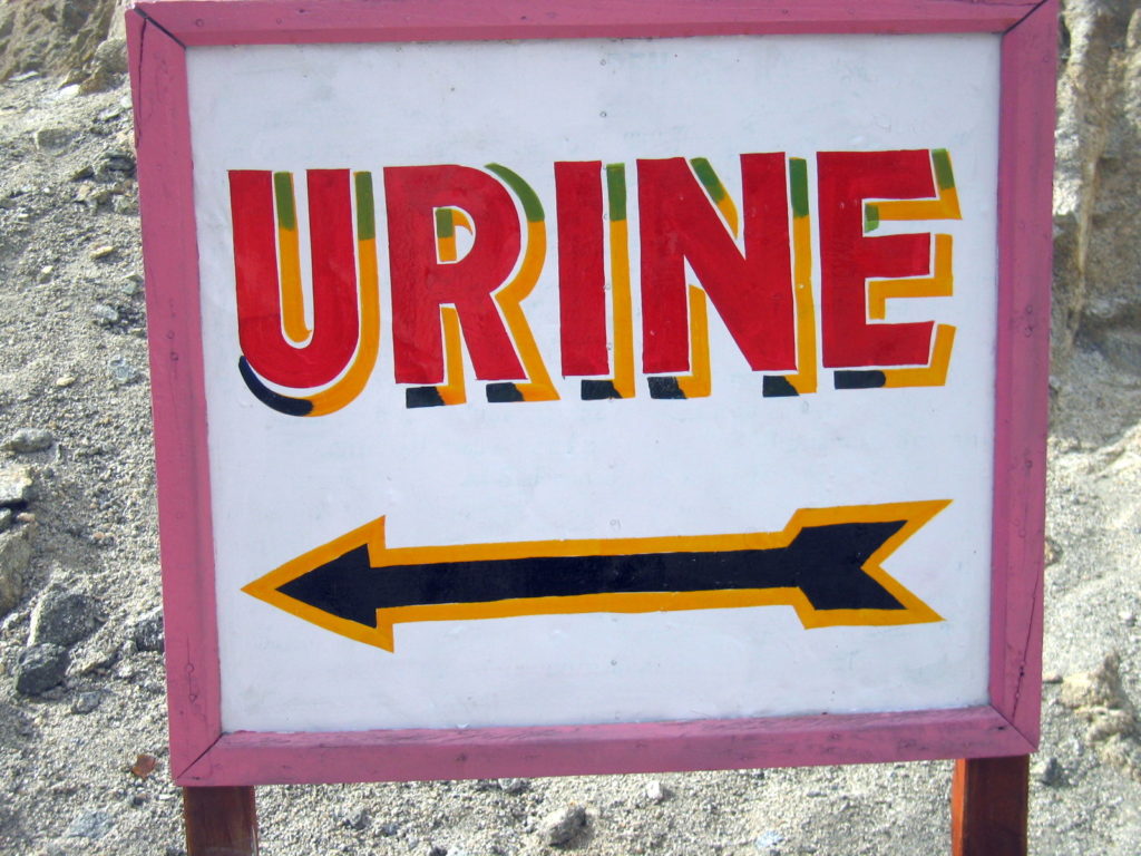 Urine Urin Schild