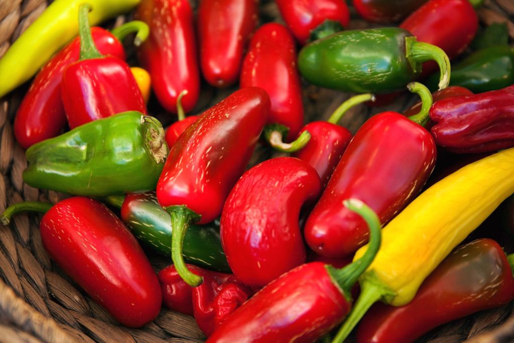 Verschiedene Chilischoten