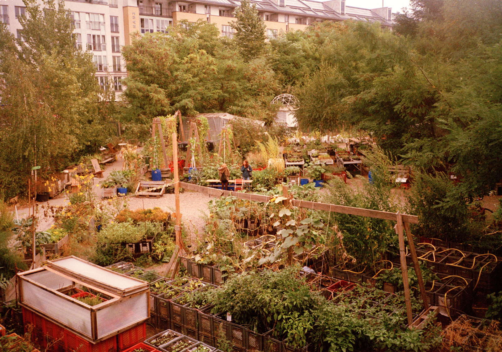 Urbane Landwirtschaft: Definition & Beispiele in Deutschland - Plantura