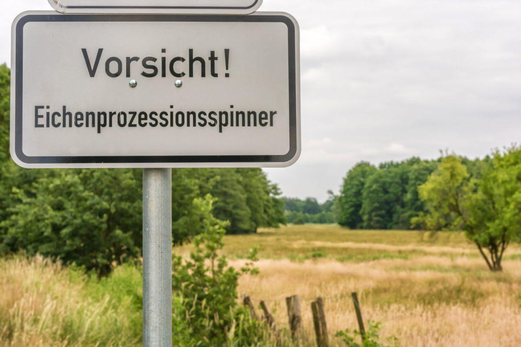 Eichenprozessionsspinner Warnschild