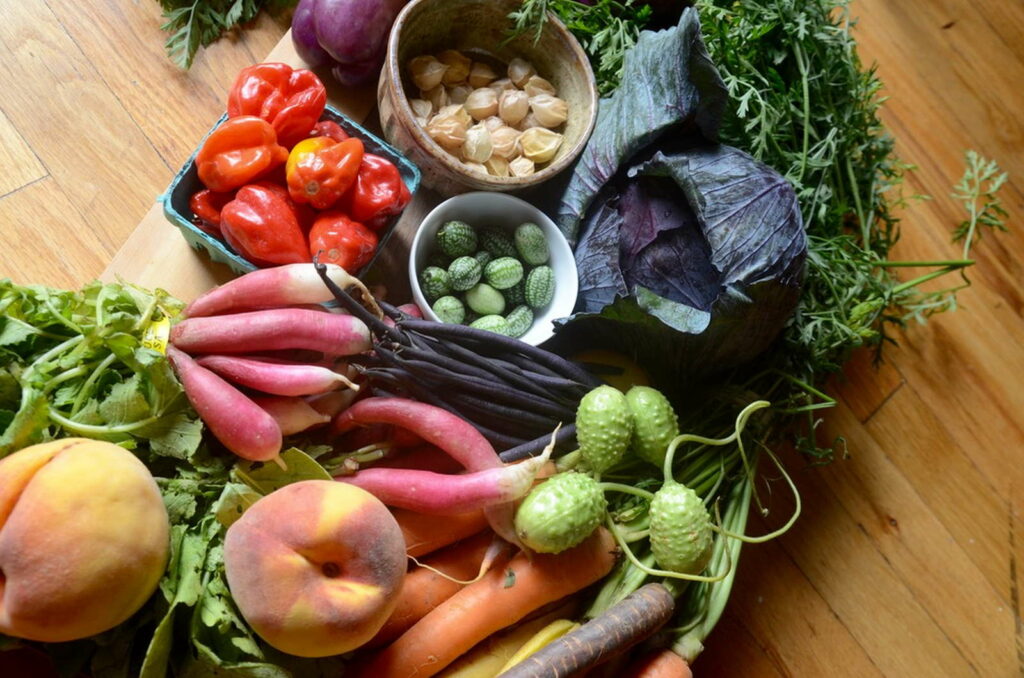 urban farming urbane landwirtschaft ernte