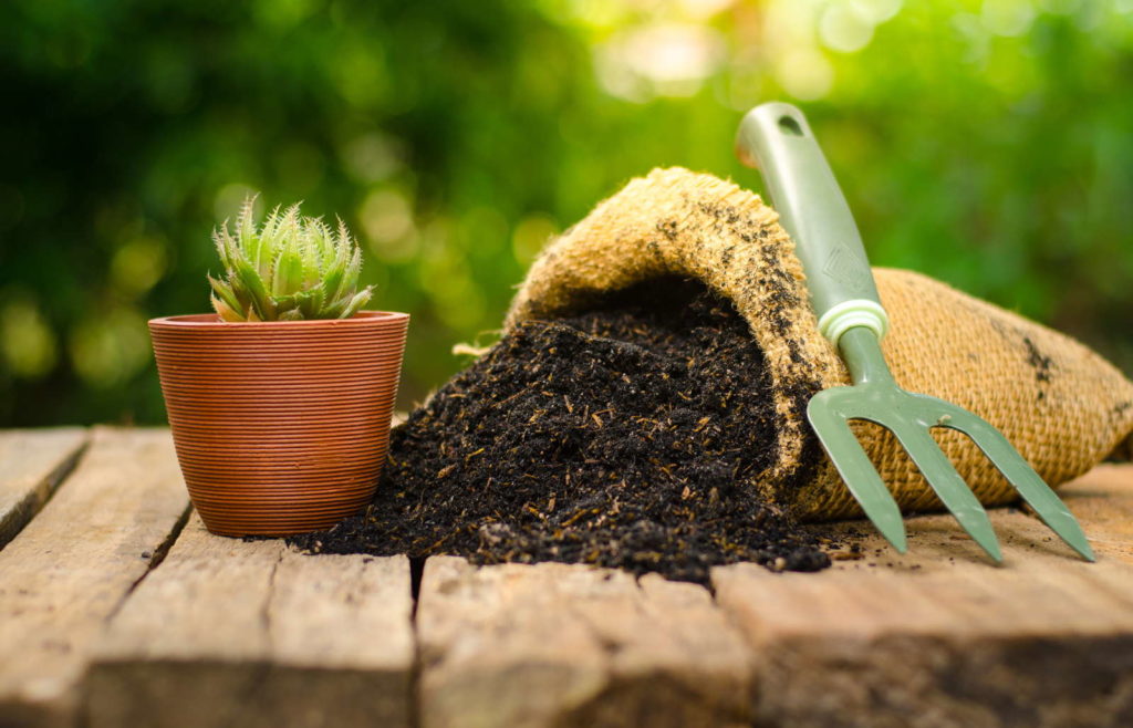 ab wann garten gießen im frühjahr