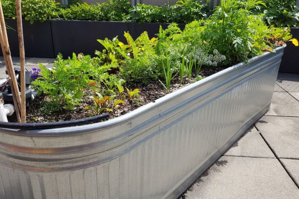 Selbstgebautes Hochbeet