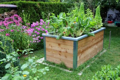 Hochbeet selber bauen oder kaufen?
