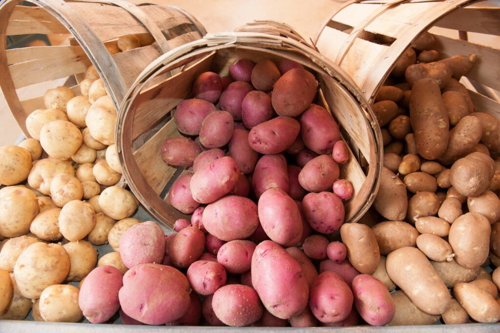 Die besten 8 frühreifen Kartoffelsorten (Übersicht) - Plantura