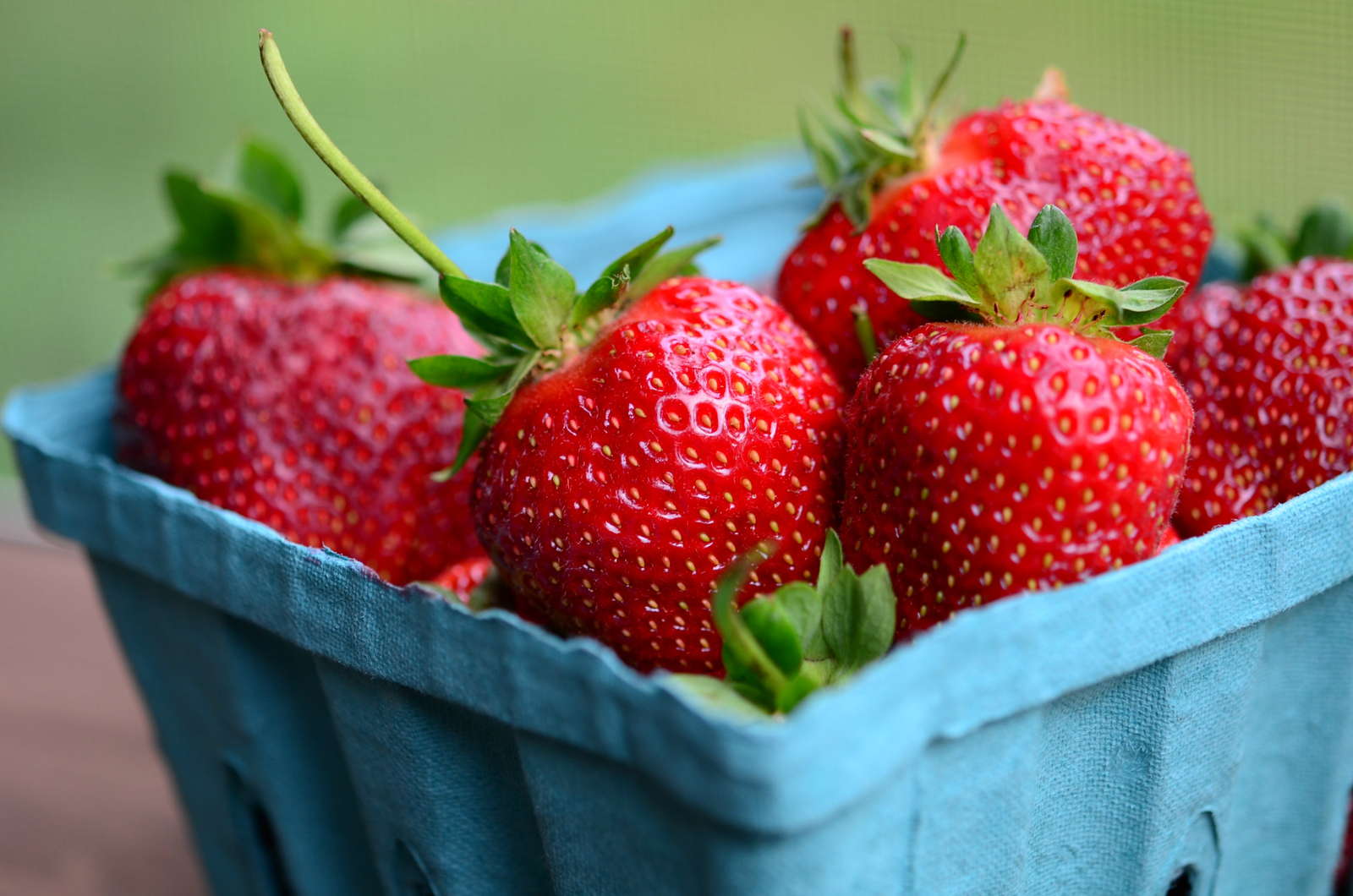 59+ Erdbeeren Aus Dem Garten In Der Schwangerschaft, Das wichtigste