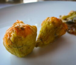 Gefüllte Zucchiniblüten