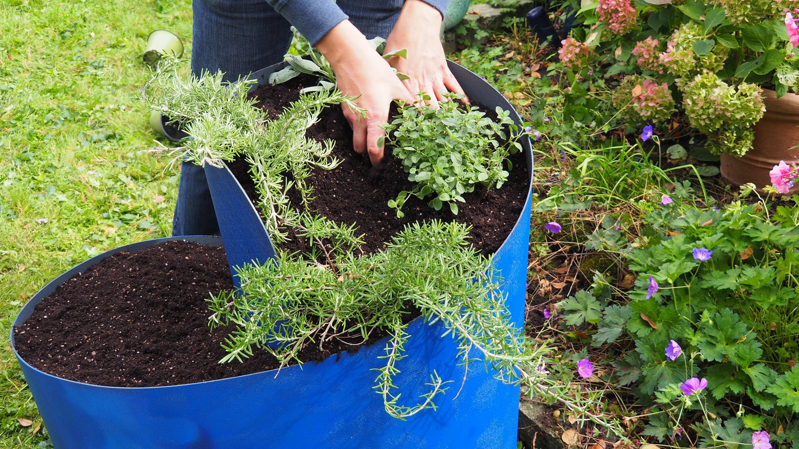 Kräuterhochbeet Bepflanzen leichtgemacht Plantura
