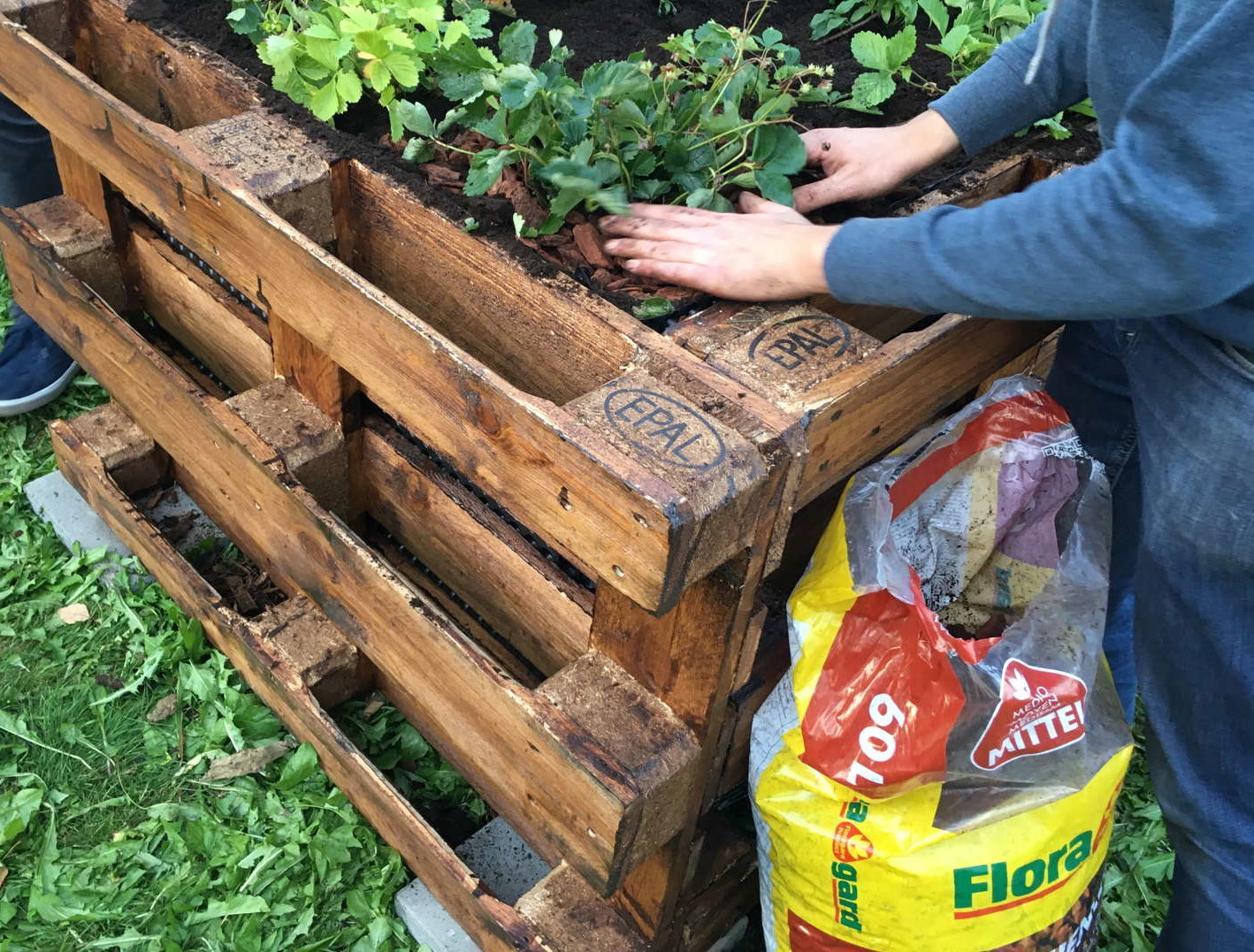 Hochbeet befüllen Tipps zum Schichten & Füllen Plantura