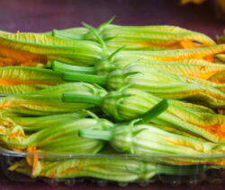 Zucchiniblüten Können Verzehrt Werden