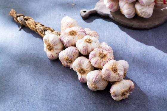 Knoblauch ernten, lagern & haltbar machen