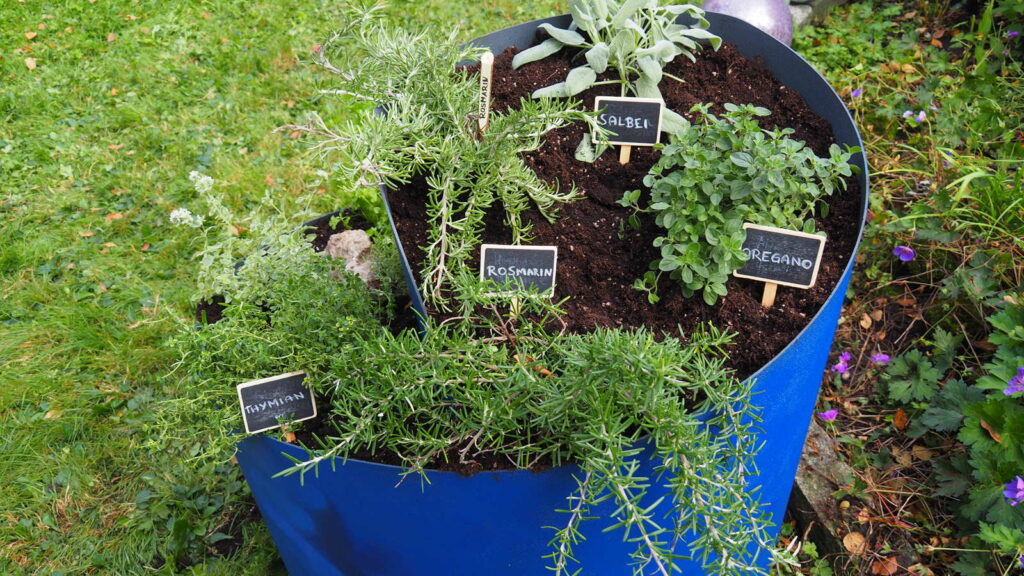 50+ Welche Mediterranen Kräuter Im Garten Halten, Wer über einen