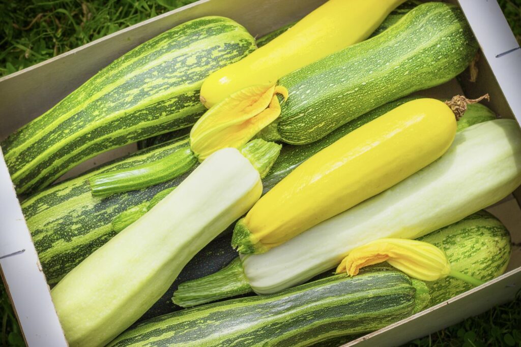 bunte Zucchini-Sorten