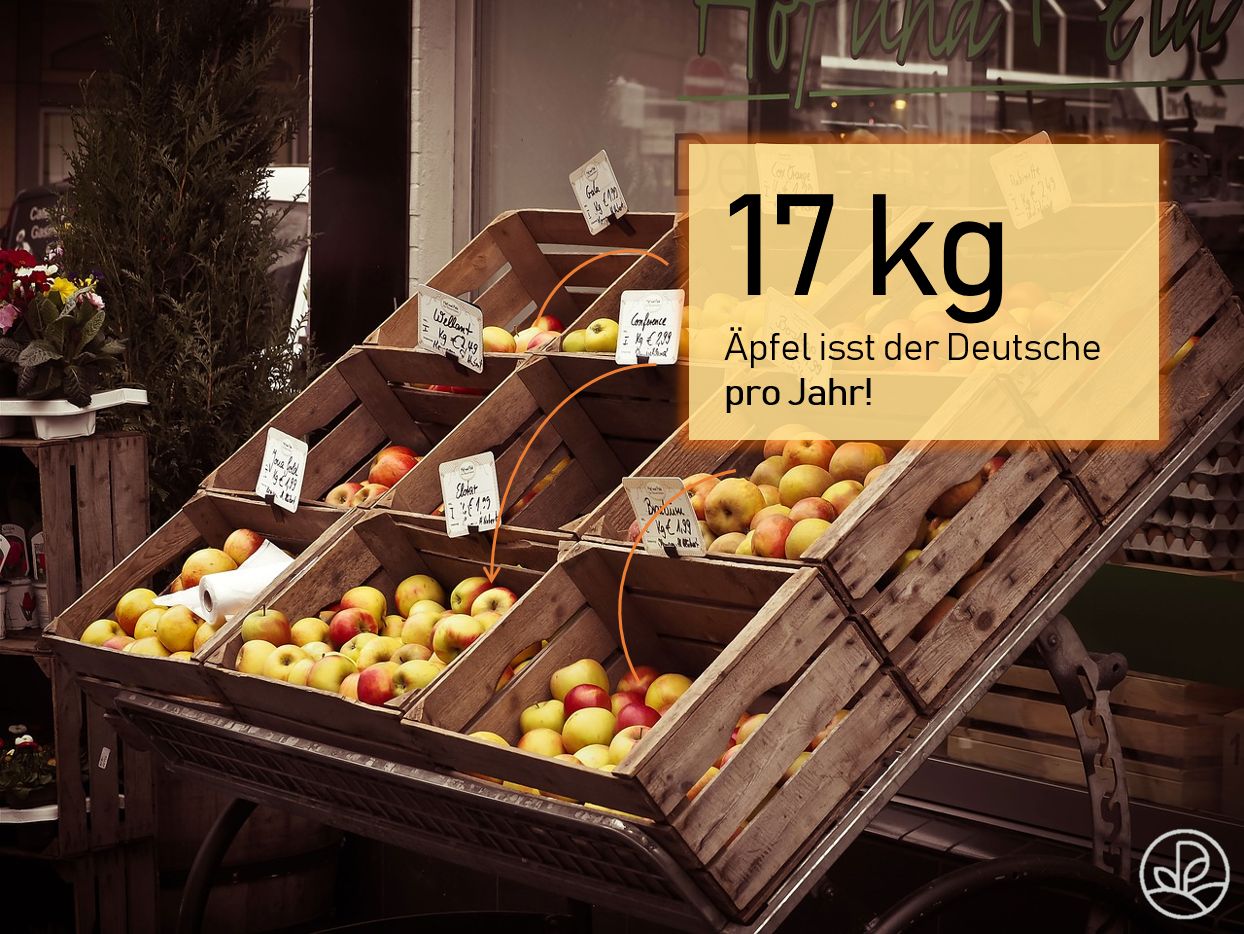 Apfel kg