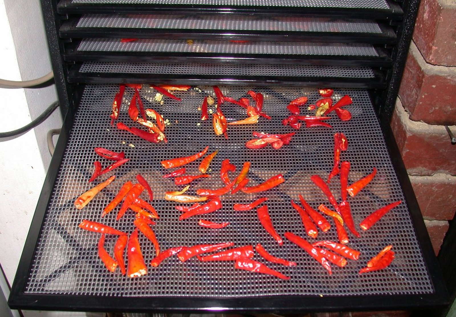 Paprika lagern Haltbarkeit & die richtige Aufbewahrung