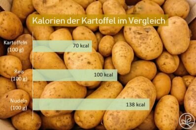 Kartoffel: Kalorien und Nährwerte