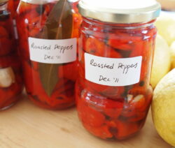 eingelegte Paprika