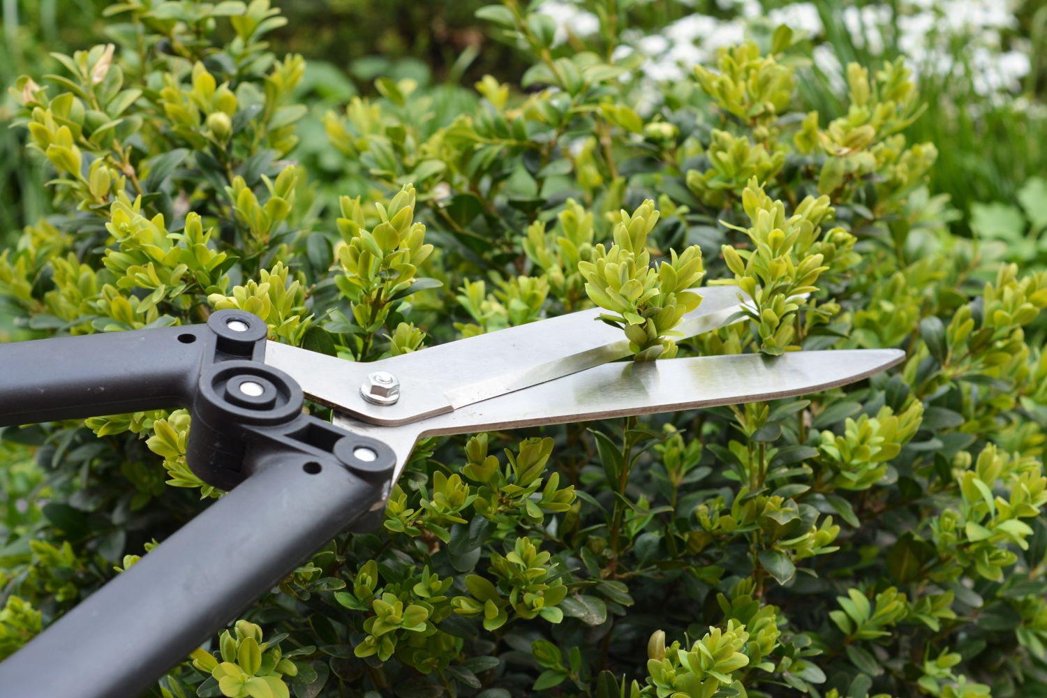 Gartenarbeit im Frühjahr