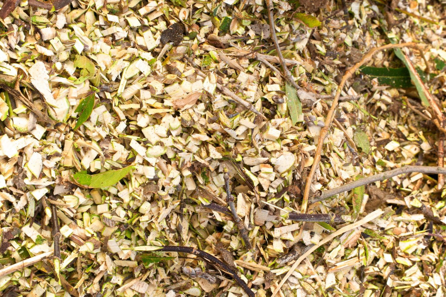 Mulchmaterial von Gartenhäcksler