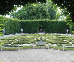 4 Buchenhecke