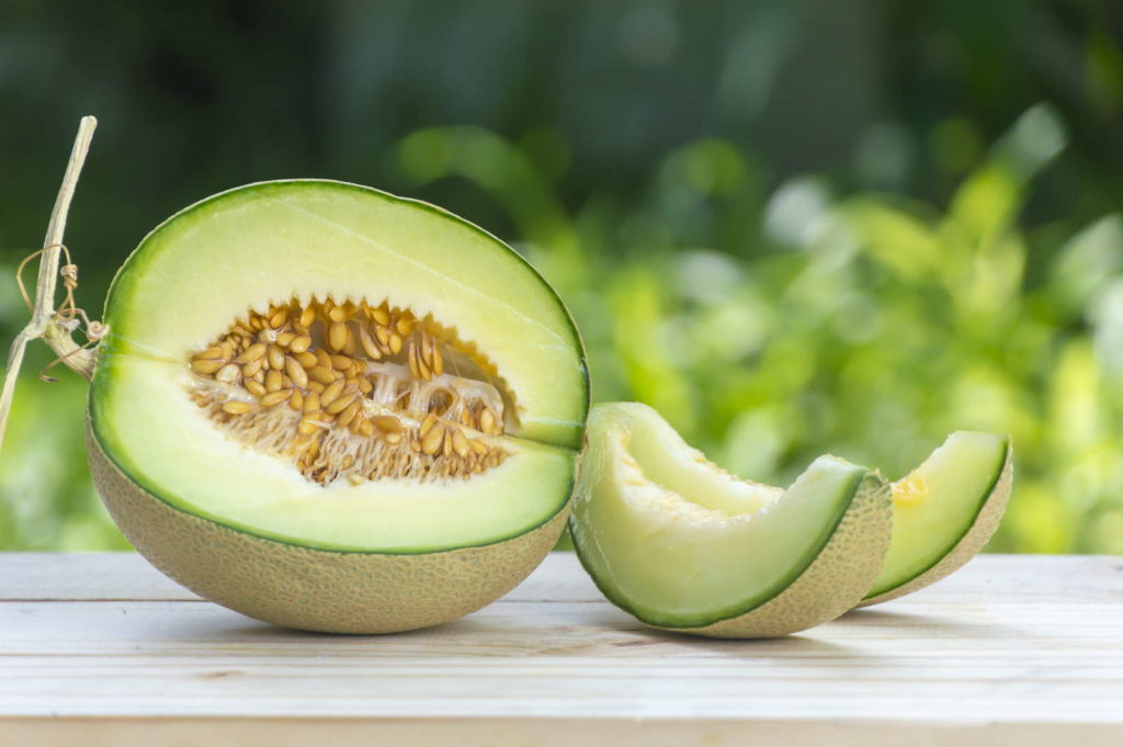 Melonenarten und sorten Melonen in Deutschland anbauen