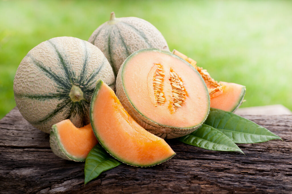 Melonenarten Und Sorten Melonen In Deutschland Anbauen