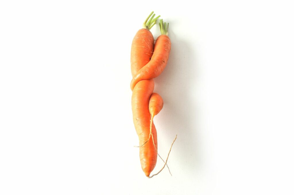 verformte Karotte