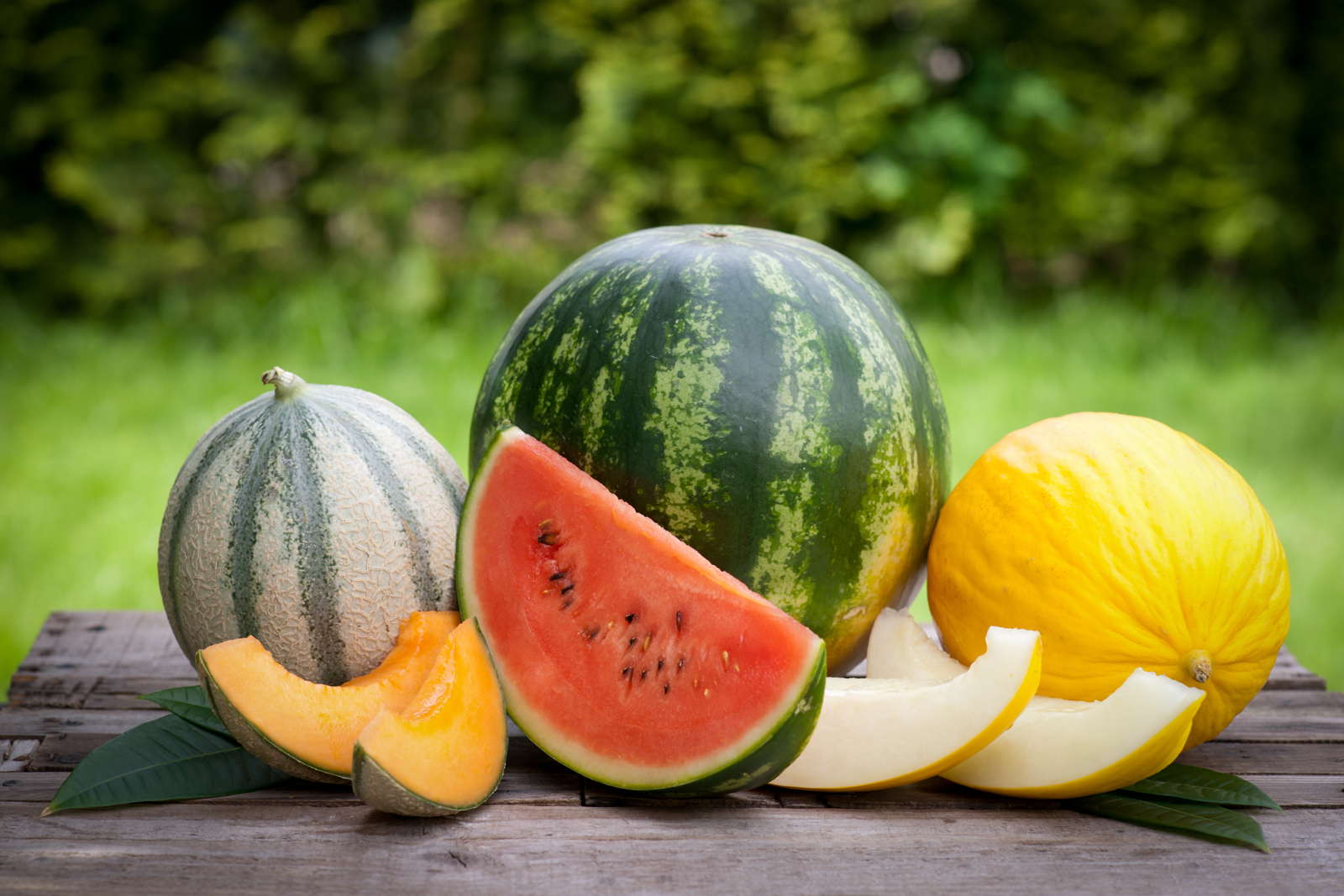 Melonenarten und -sorten: Melonen in Deutschland anbauen