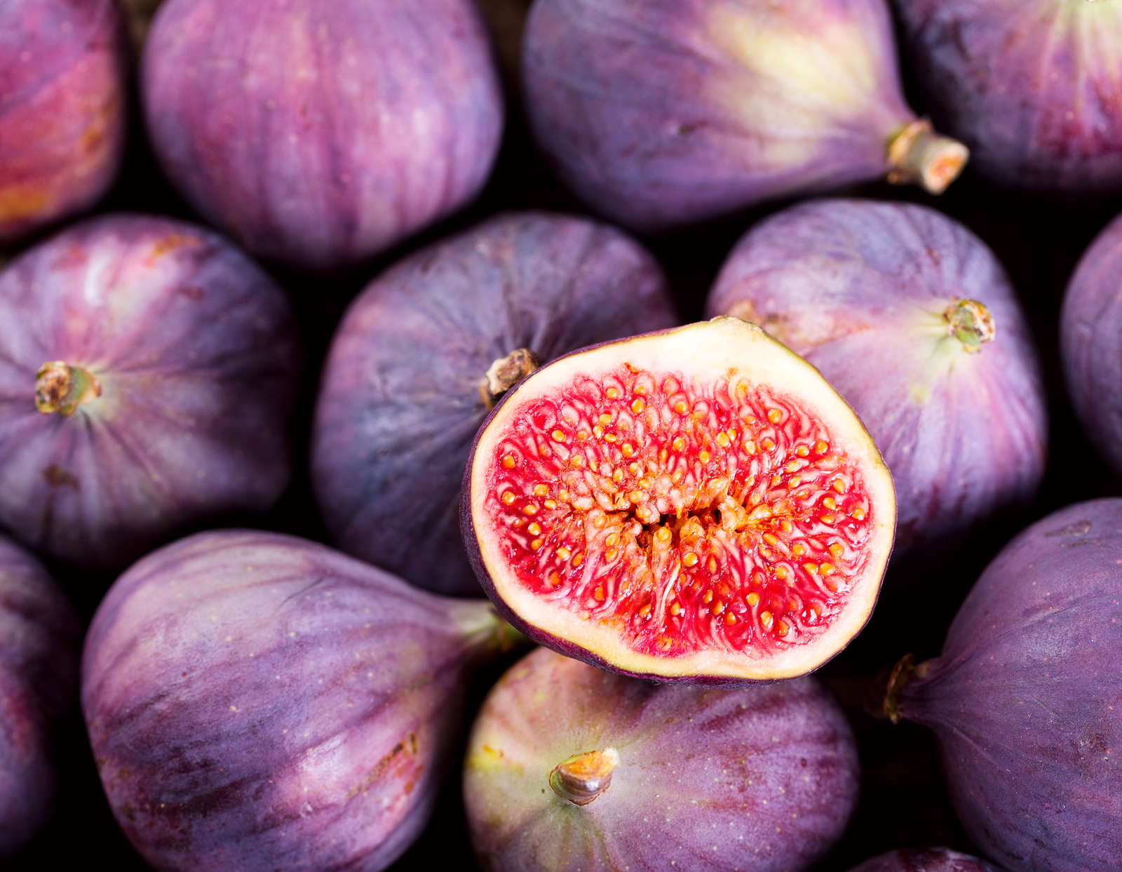 Feigenbaum Alles, was man zur Feige im Garten wissen muss