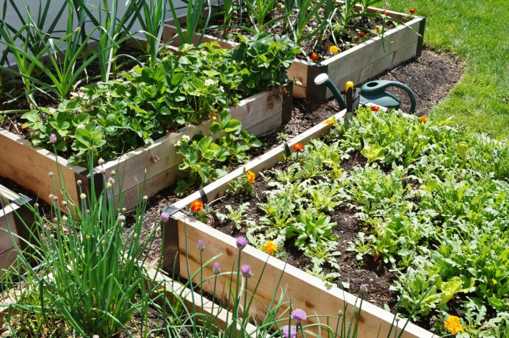 Hochbeete im Garten bepflanzen