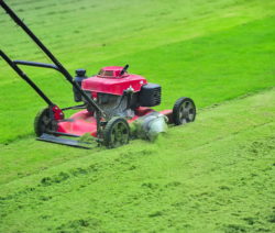 Rasen mulchen & ProfiAnleitung Plantura