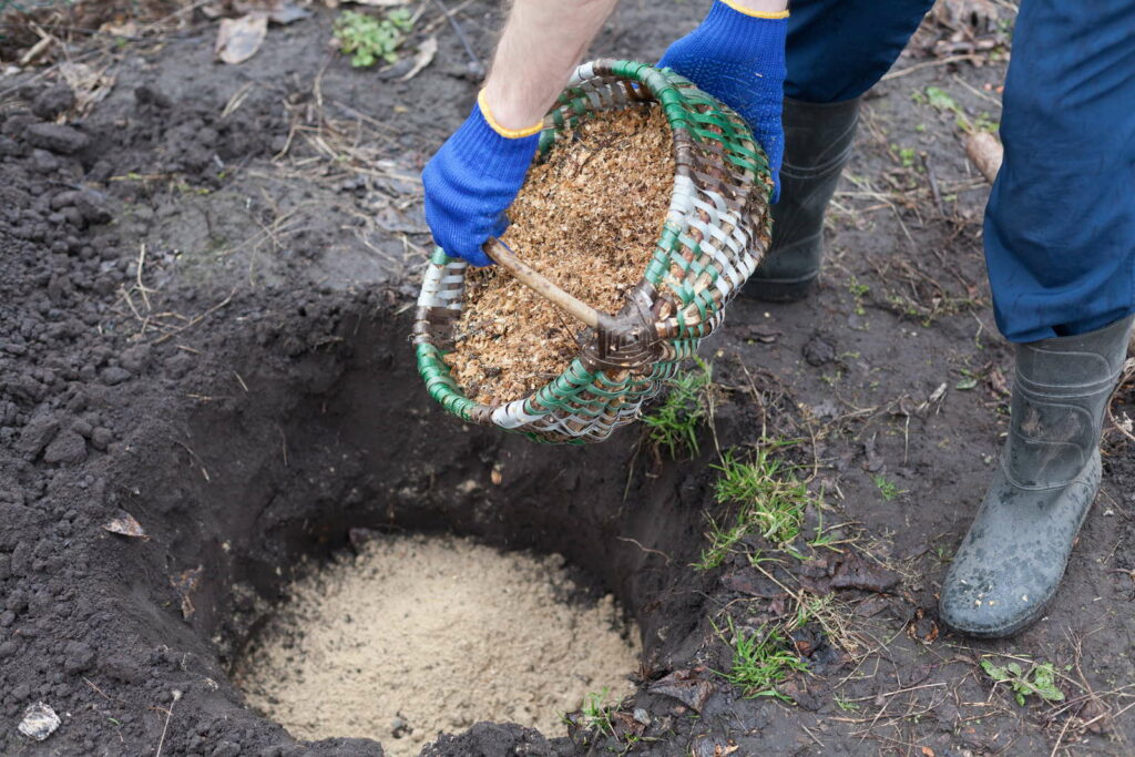 Heidelbeeren düngen Hausmittel, Dünger & Co. Plantura