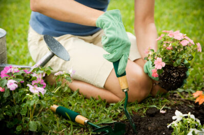 Gartenpflege in Frühjahr und Sommer: Was ist wann zu tun?